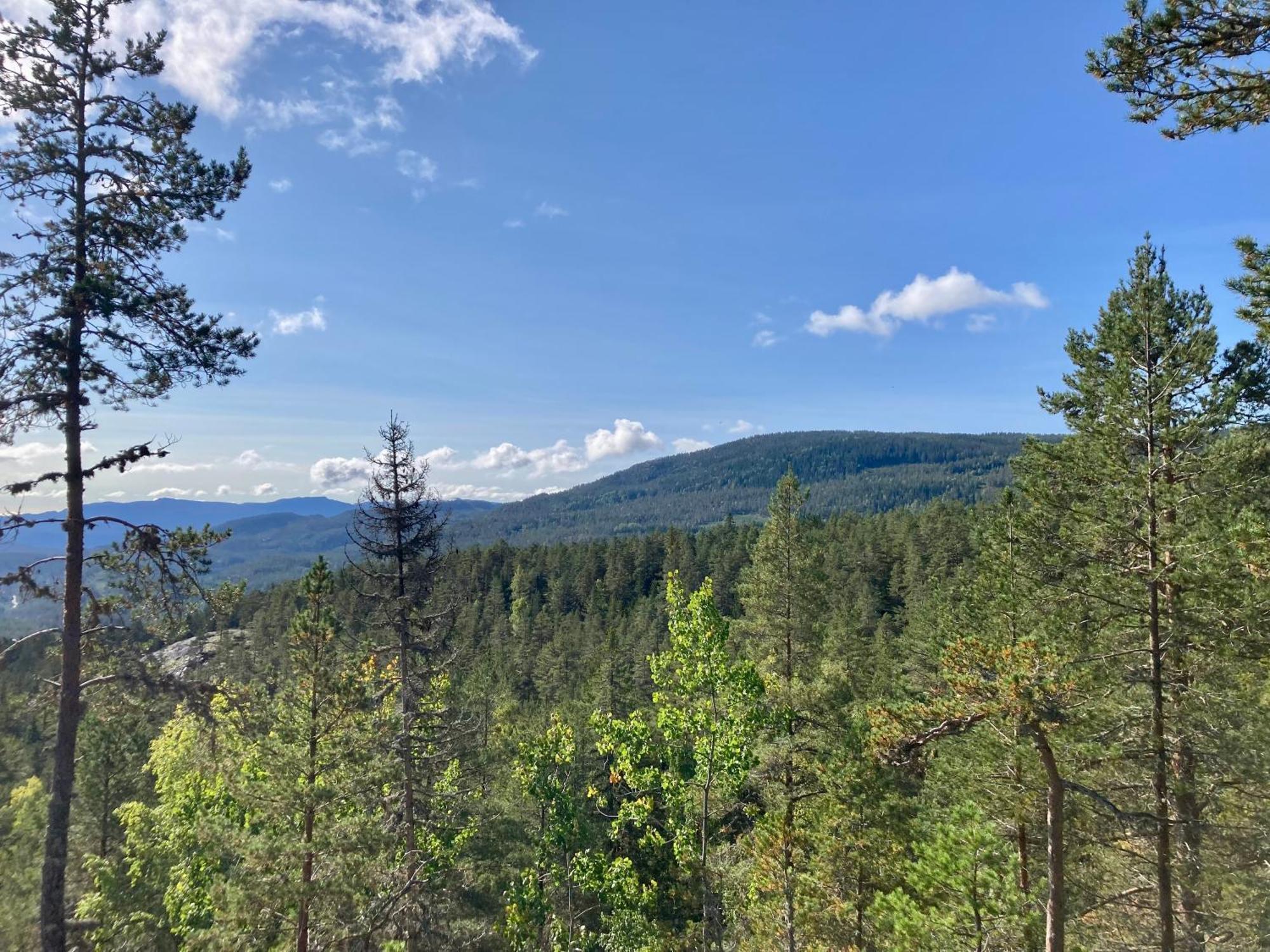 Friheten! Notodden Eksteriør billede