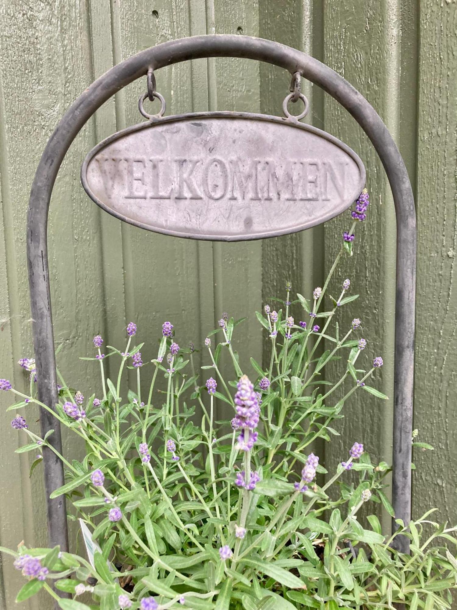 Friheten! Notodden Eksteriør billede